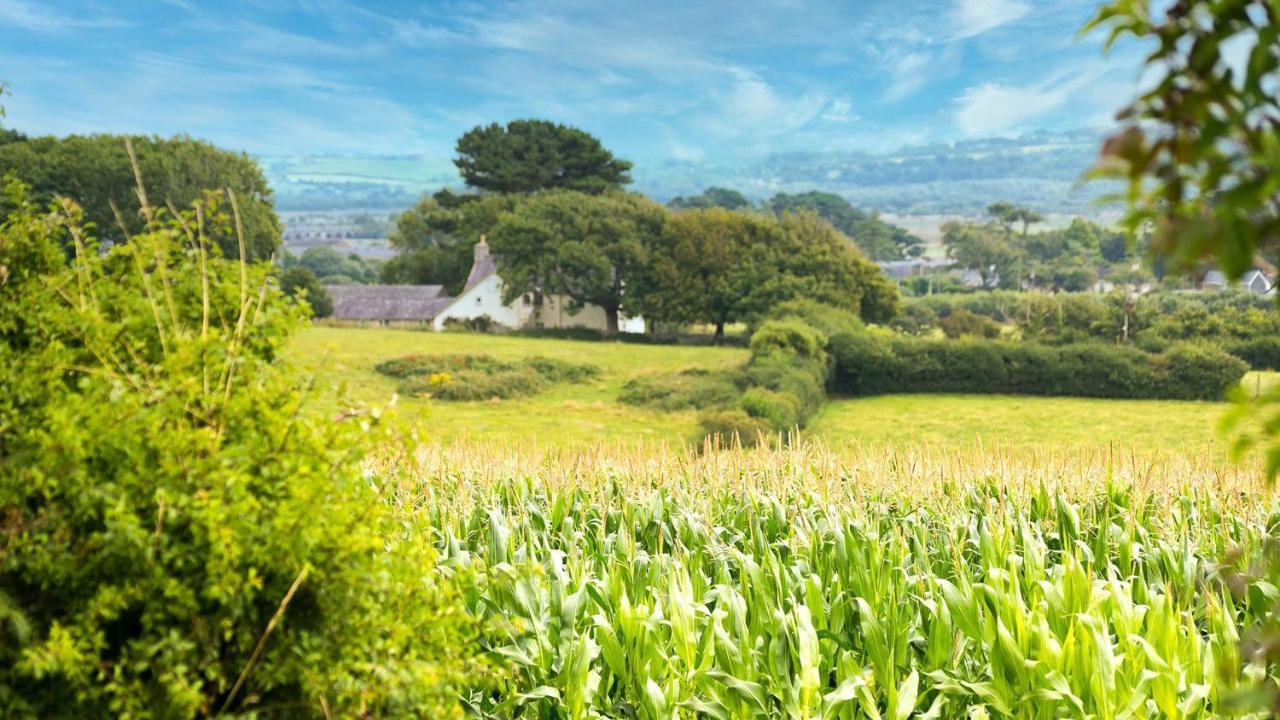 Tan Yr Allt Llangadwaladr  Exterior foto